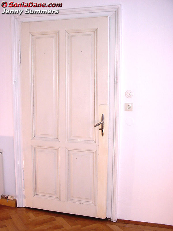 Leopard Bra & Panties (part 1)