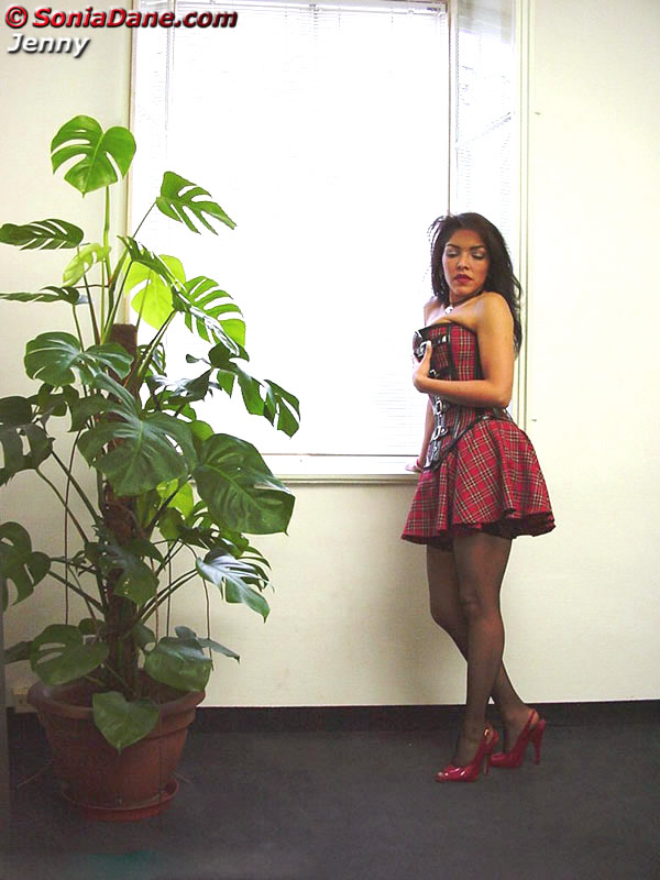 Red Plaid Corset (part 2)