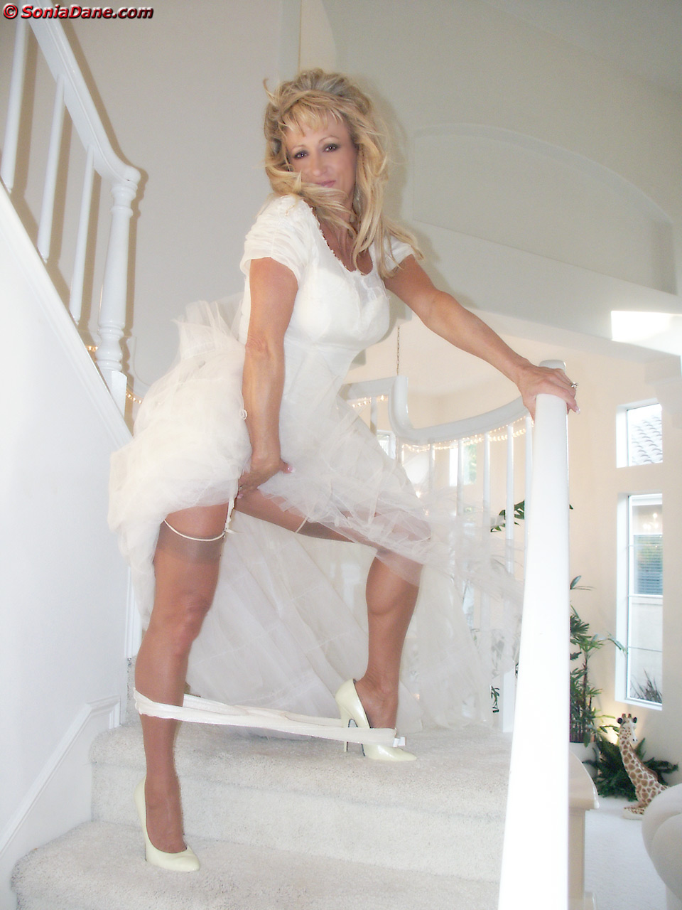 See-Through Gown (part 2)